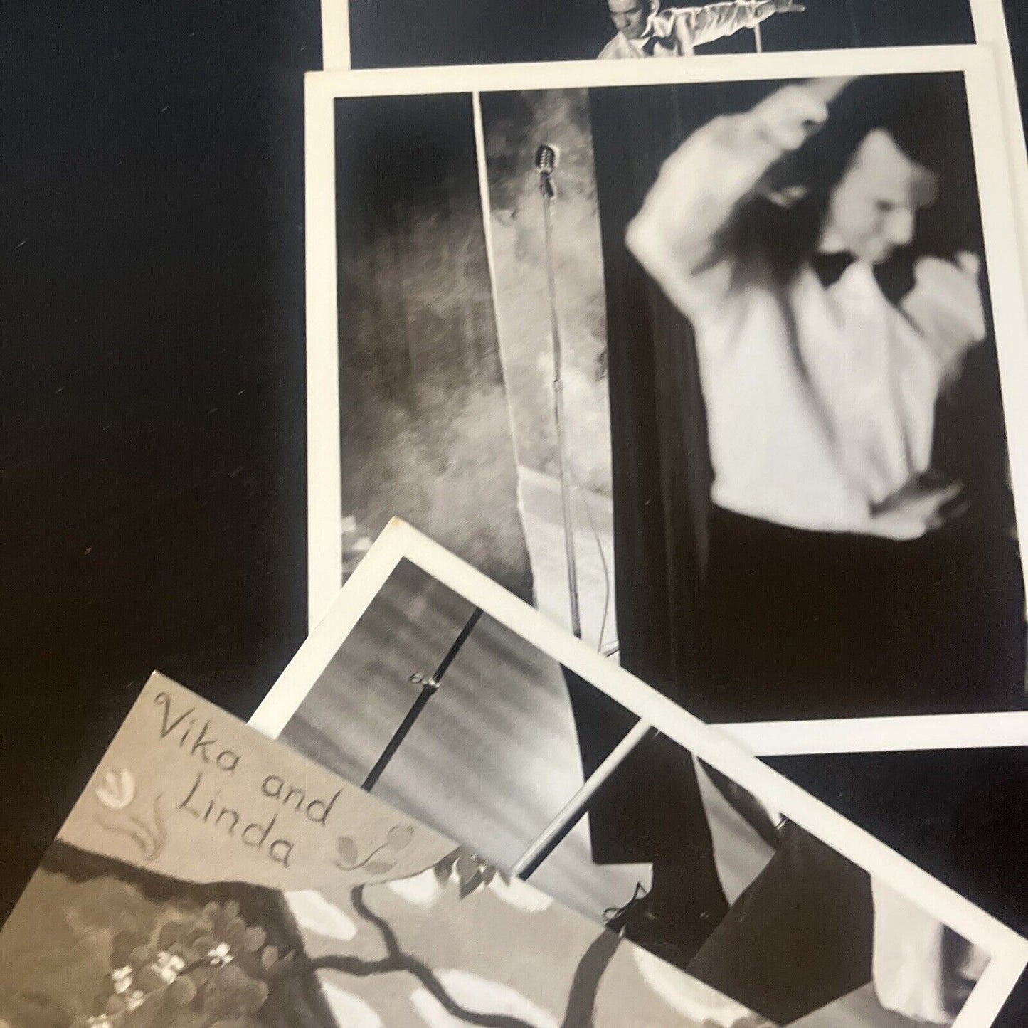 Vika & Linda by Vika & Linda - Special Limited Edition (CD, 1994, 2-Disc)