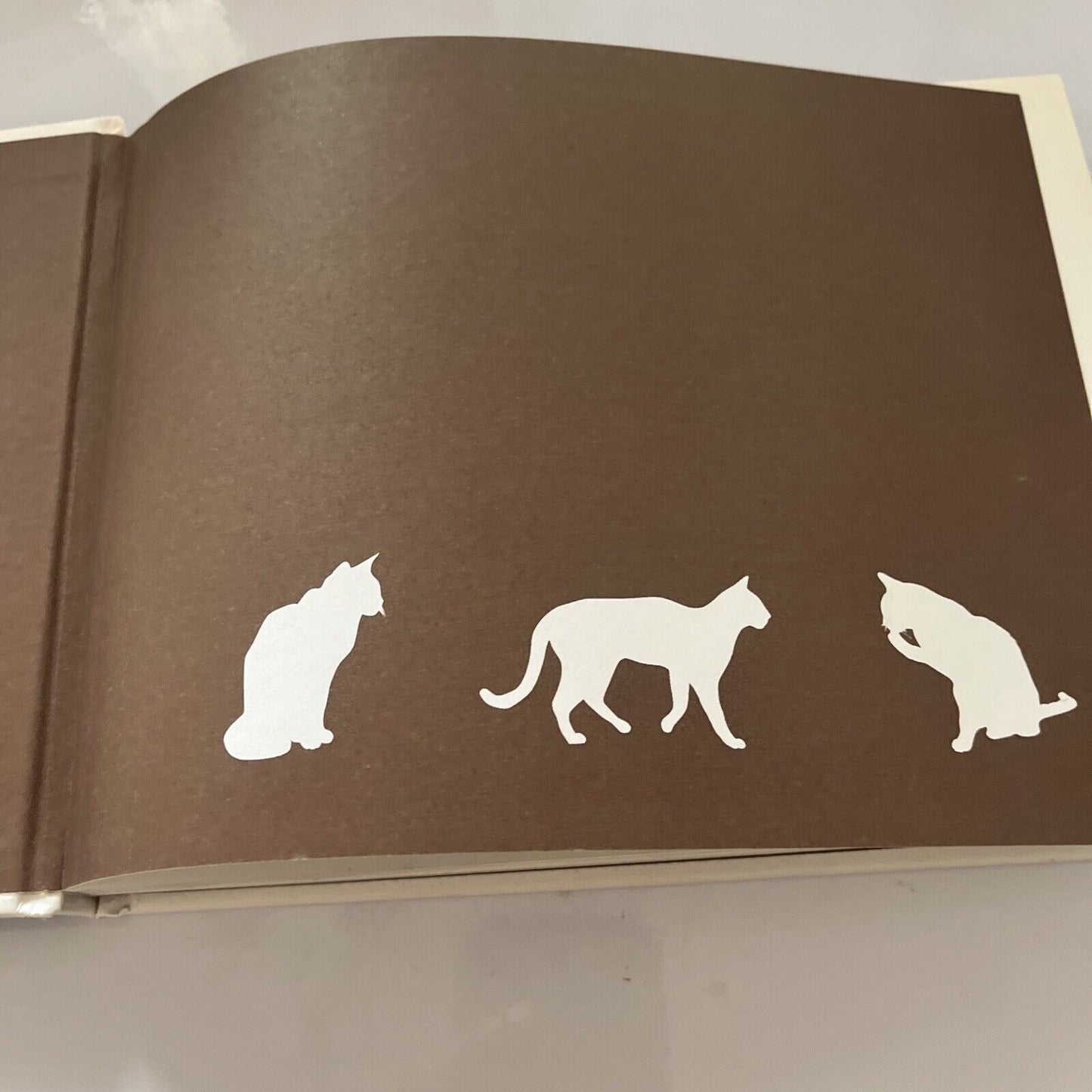 Best in Show: Knit Your Own Cat by Joanna Osborne, Sally Muir (Hardcover, 2011)