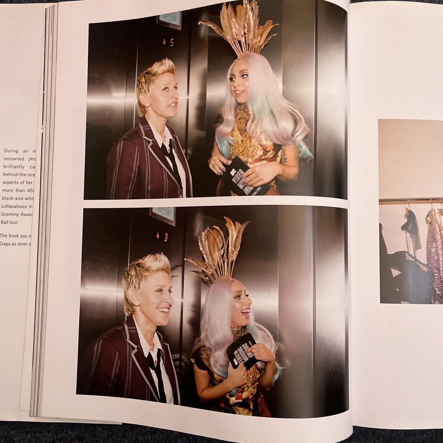 Lady Gaga X Terry Richardson by Terry Richardson, Lady Gaga (Hardcover, 2011)
