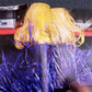 Lady Gaga X Terry Richardson by Terry Richardson, Lady Gaga (Hardcover, 2011)
