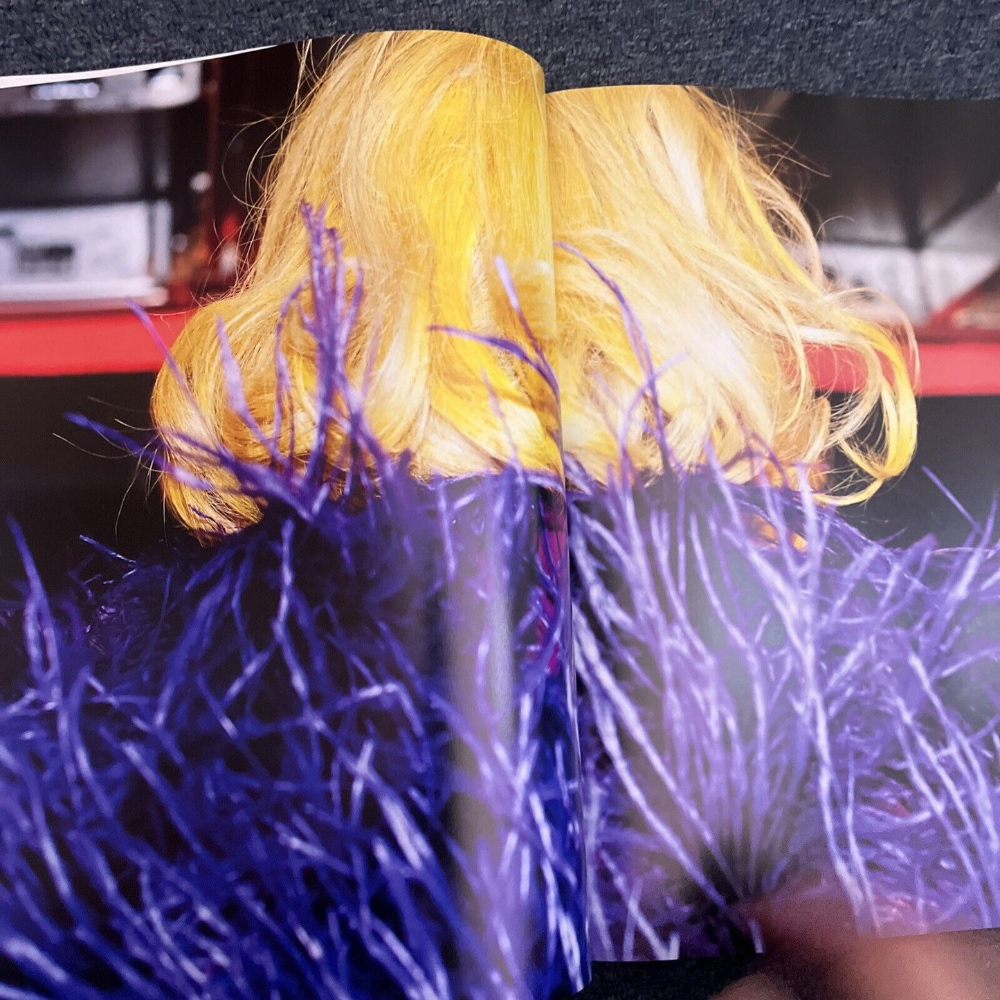 Lady Gaga X Terry Richardson by Terry Richardson, Lady Gaga (Hardcover, 2011)