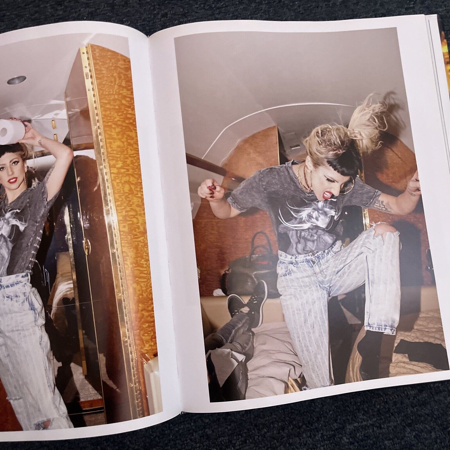 Lady Gaga X Terry Richardson by Terry Richardson, Lady Gaga (Hardcover, 2011)
