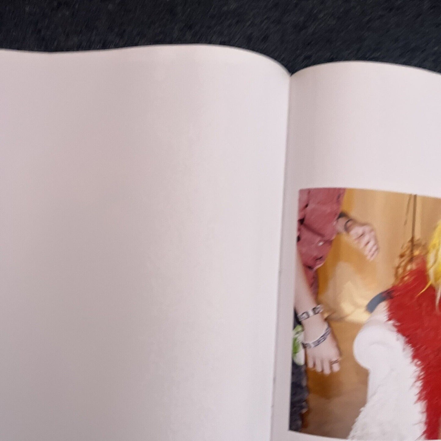 Lady Gaga X Terry Richardson by Terry Richardson, Lady Gaga (Hardcover, 2011)