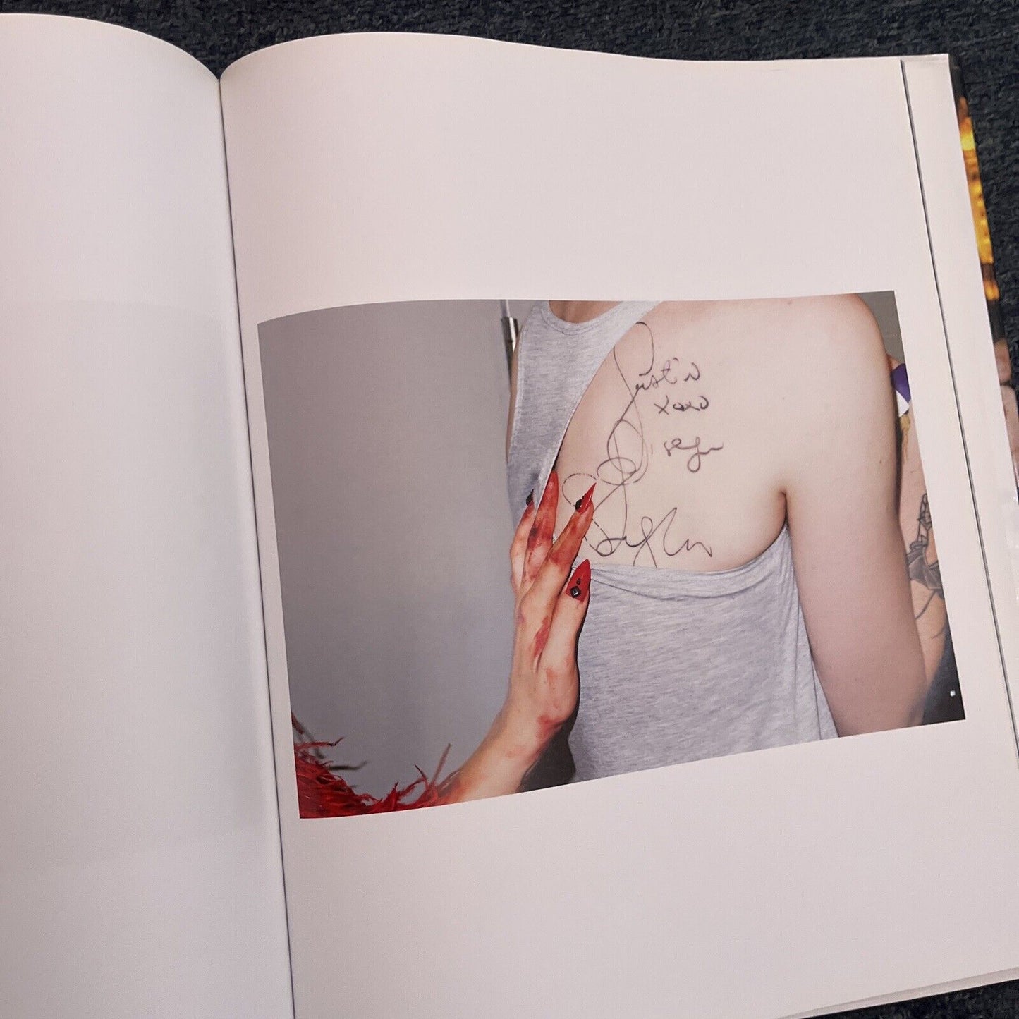 Lady Gaga X Terry Richardson by Terry Richardson, Lady Gaga (Hardcover, 2011)