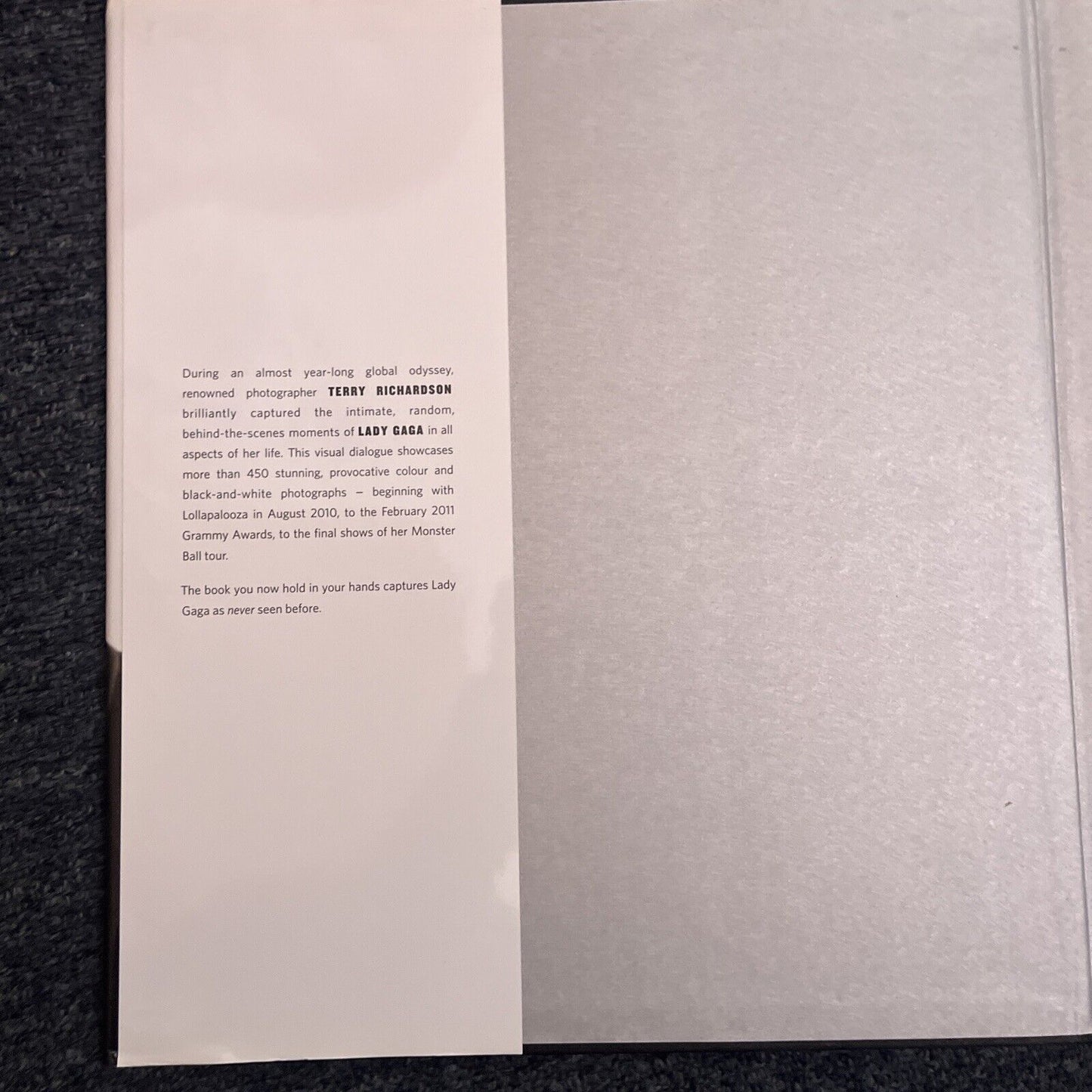 Lady Gaga X Terry Richardson by Terry Richardson, Lady Gaga (Hardcover, 2011)