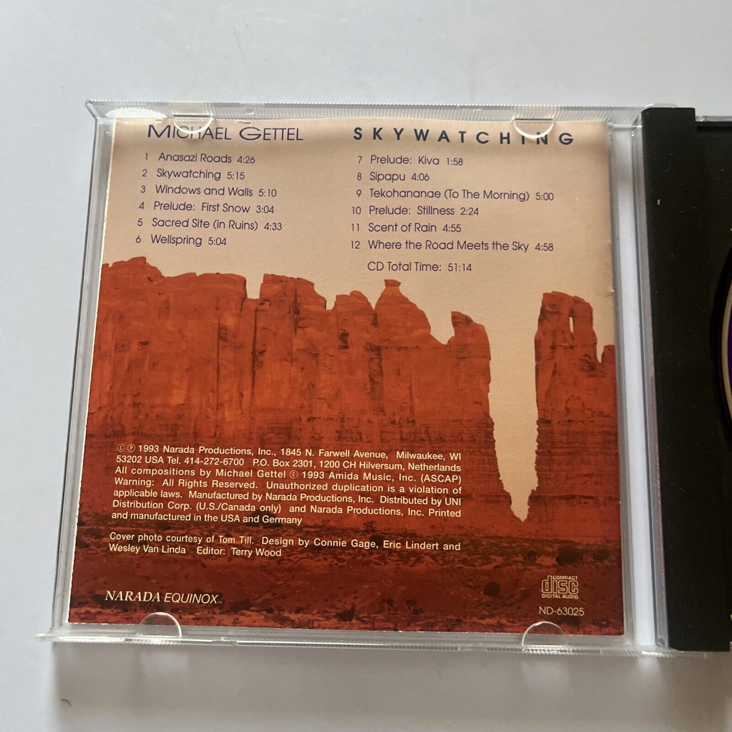 Michael Gettel - Skywatching (CD, 1993)