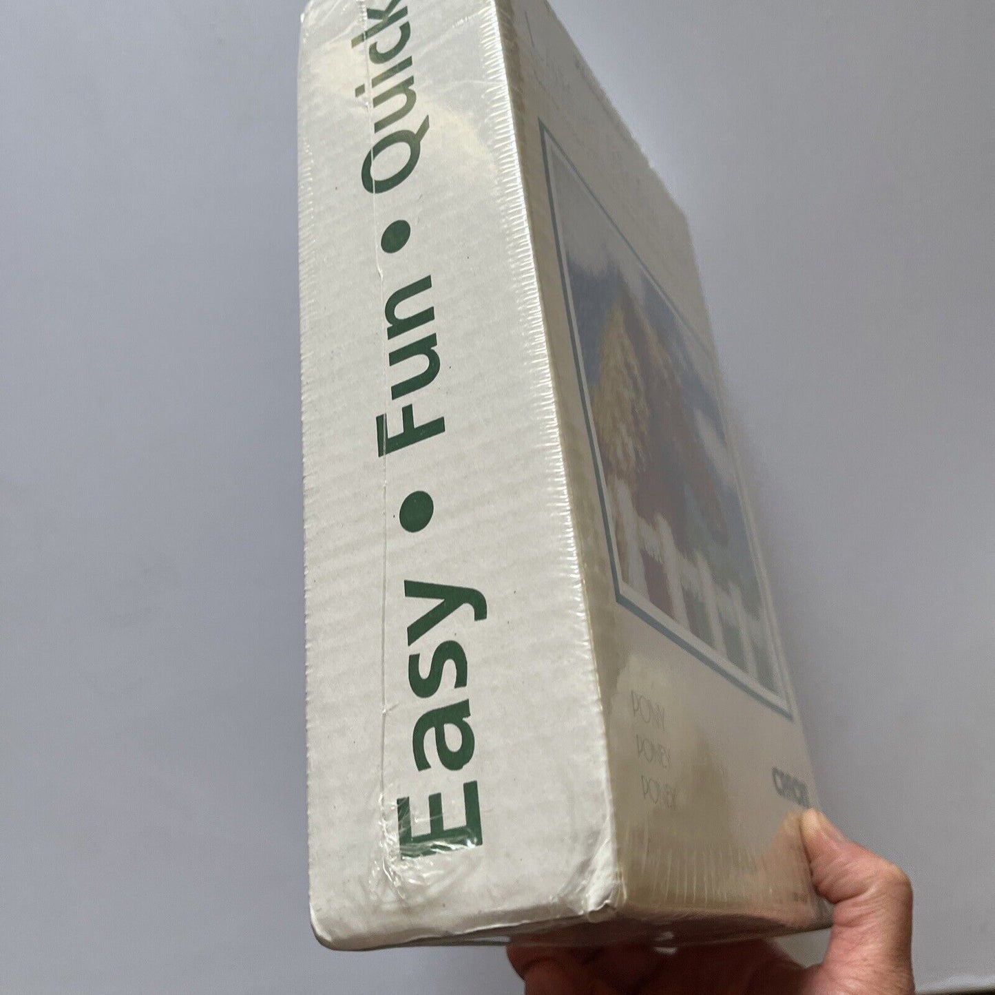 Caron Wonder Art Pony Latch Hook Kit 12"X12" 30.4x30.4cm