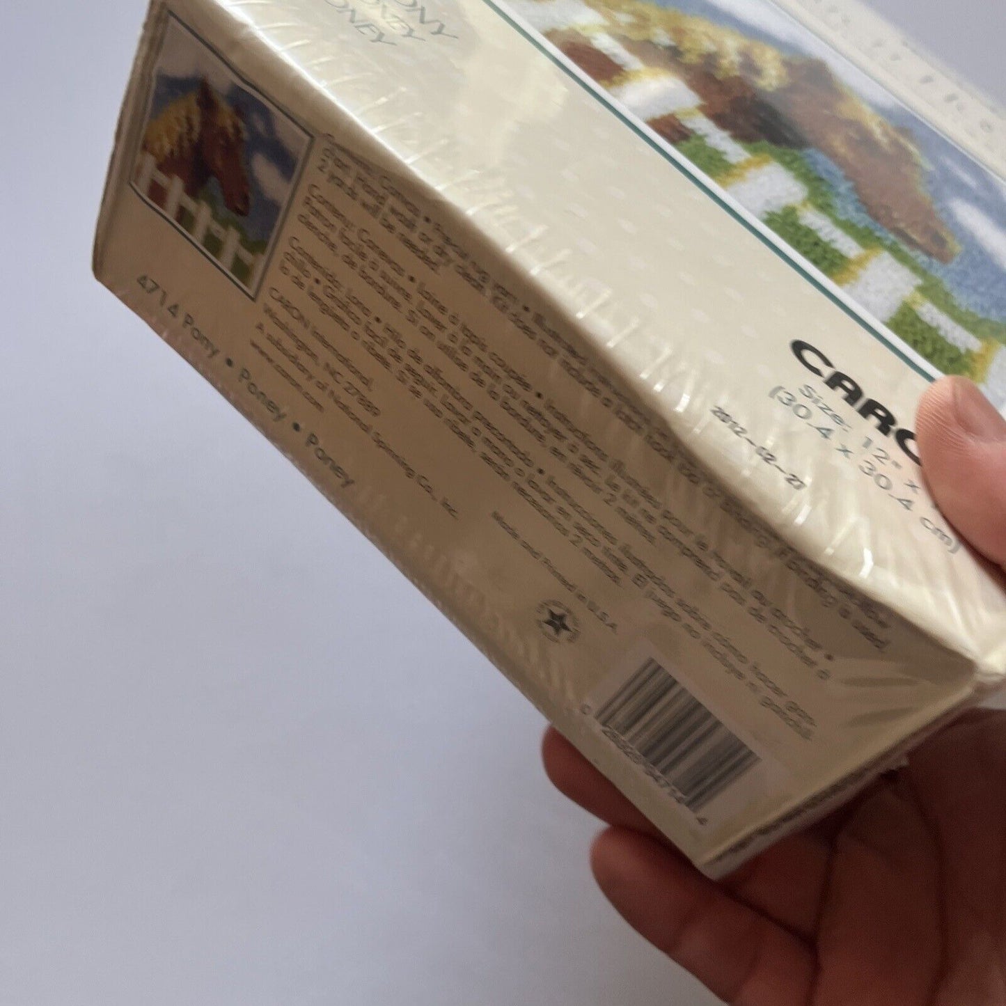 Caron Wonder Art Pony Latch Hook Kit 12"X12" 30.4x30.4cm