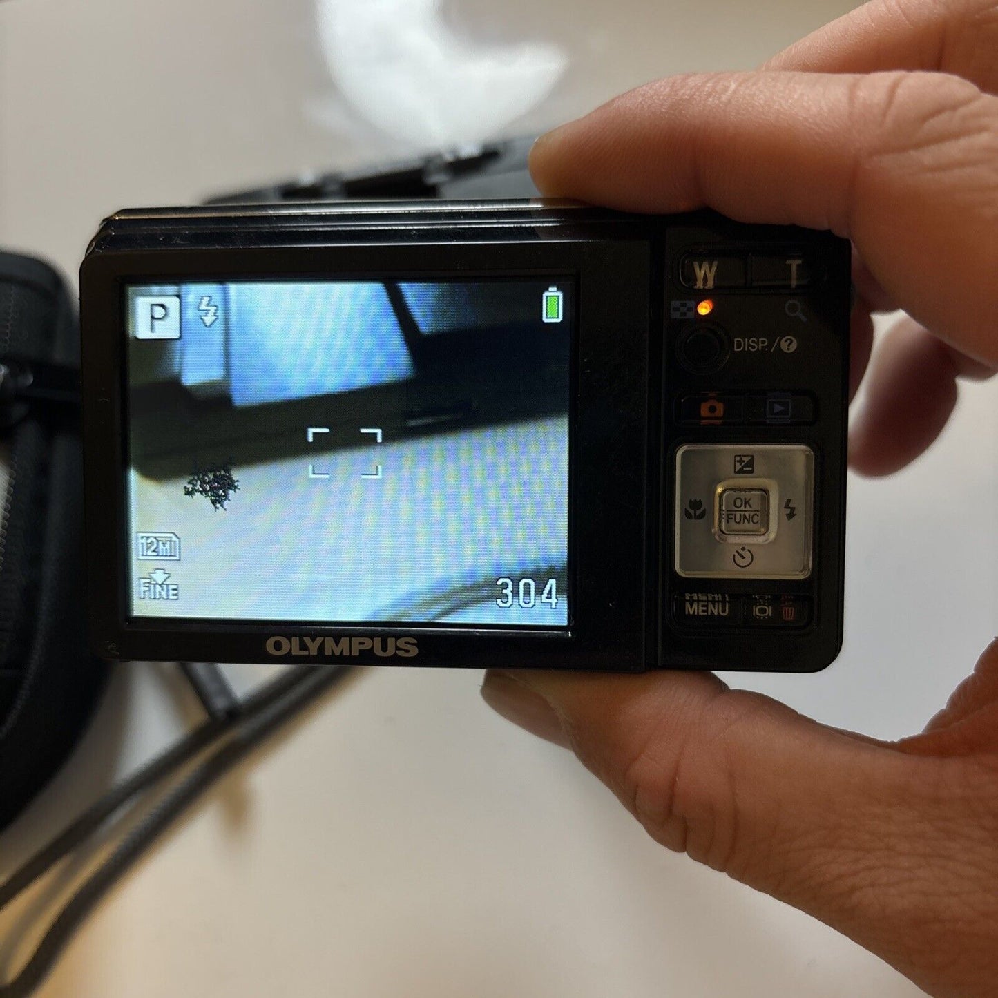 Olympus FE-4000 Digital Camera 12MP & Lowepro Case *Works But LCD Has Dead Pixel