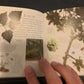 Pockets: Trees, Theresa Greenaway, Used; Good Book