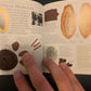 Pockets: Trees, Theresa Greenaway, Used; Good Book