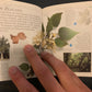 Pockets: Trees, Theresa Greenaway, Used; Good Book