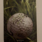 Outlaw Golf 2 - PS2 Playstation 2 Game with Manual