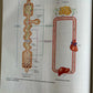 Principles of Human Physiology: Second Edition By William J. Germann, Cindy