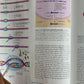 Principles of Human Physiology: Second Edition By William J. Germann, Cindy