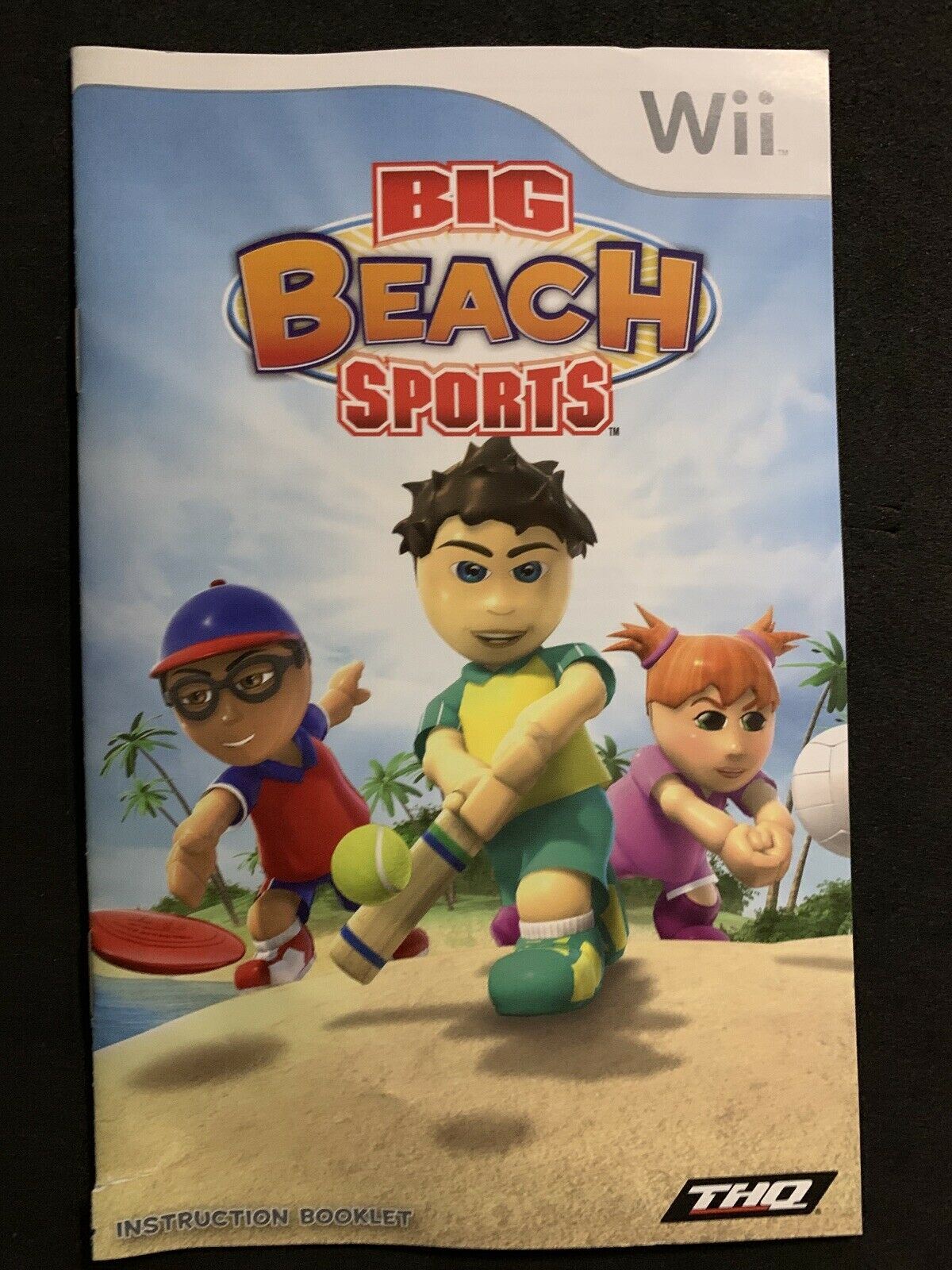 Big Beach Sports - Nintendo Wii