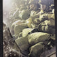 Band Of Brothers (DVD, 2002, 6-Disc Set) Complete TV Series