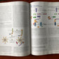Molecular Cell Biology by Harvey Lodish