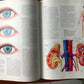 Anatomy ANATOMICA Visual Encyclopedia to the Human Body + CD-ROM
