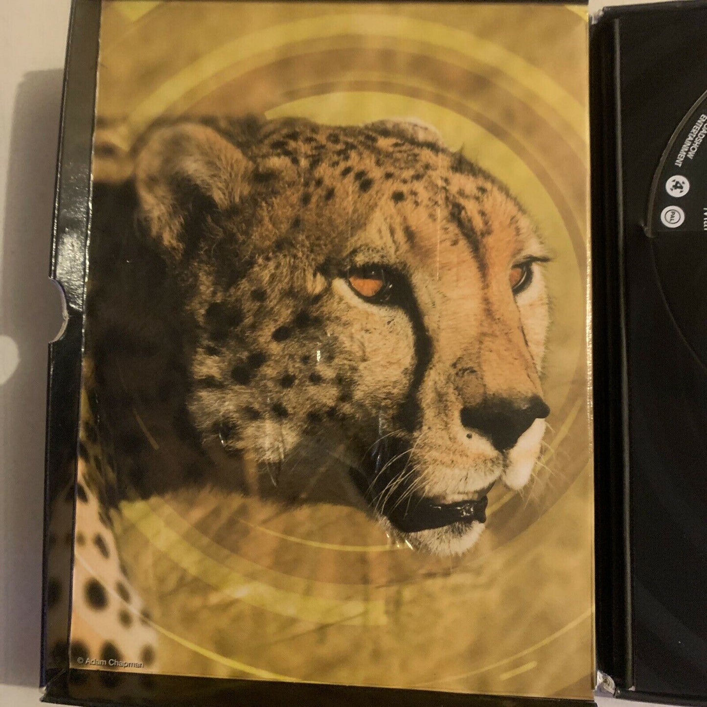 BBC Earth: Life (DVD, 2010, 4-Disc Set) David Attenborough. Region4,2