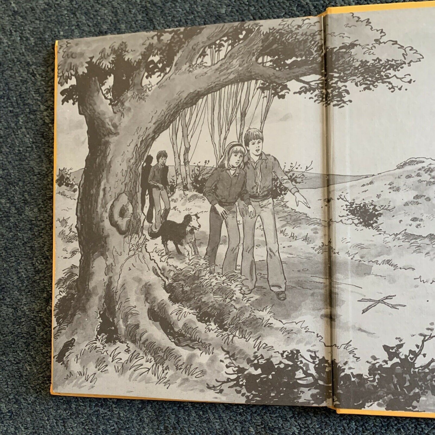 Grid Blyton's: Famous Five - Five Go To Mystery Moon Annual -Hardcover Book 1980