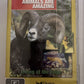 Animals Are Amazing - Living At The Edge + Triumph Of Life DVD