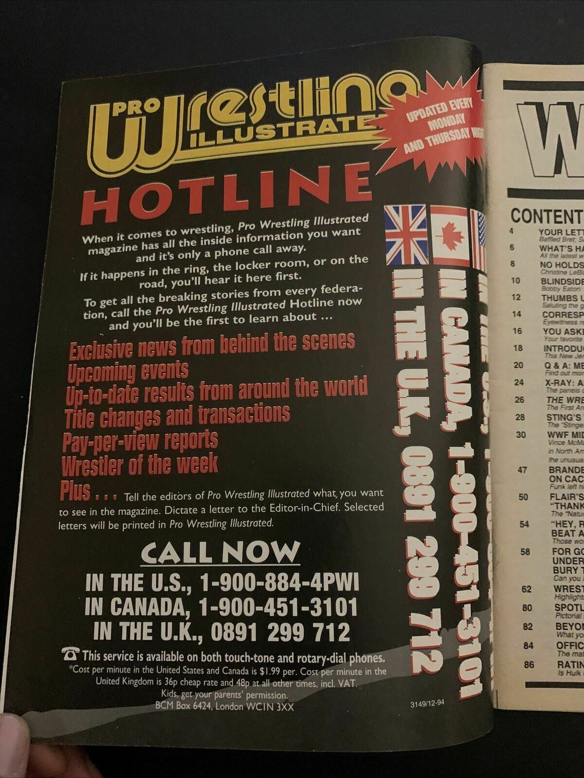 The Wrestler Magazine September 1995 - Undertaker, Diesel, Bret, Sid