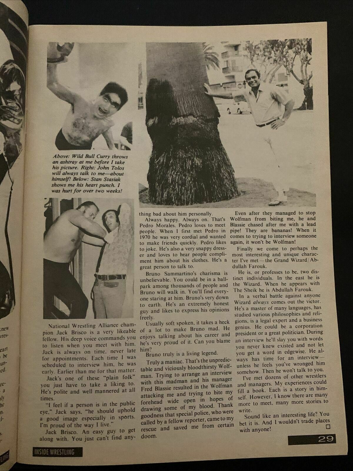 Inside Wrestling Magazine July 1995 - Shawn Michaels, Power Bomb, Big Van Vader