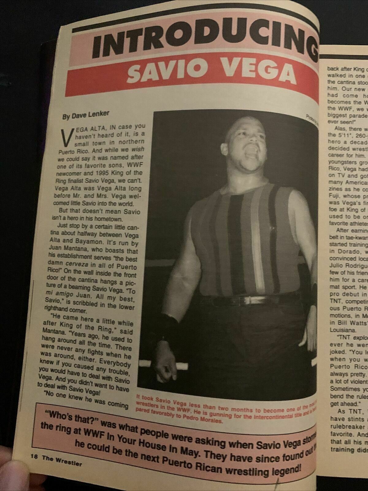 The Wrestler Magazine November 1995 - Mabel Monarchy, Savage, Jarrett, Ramon