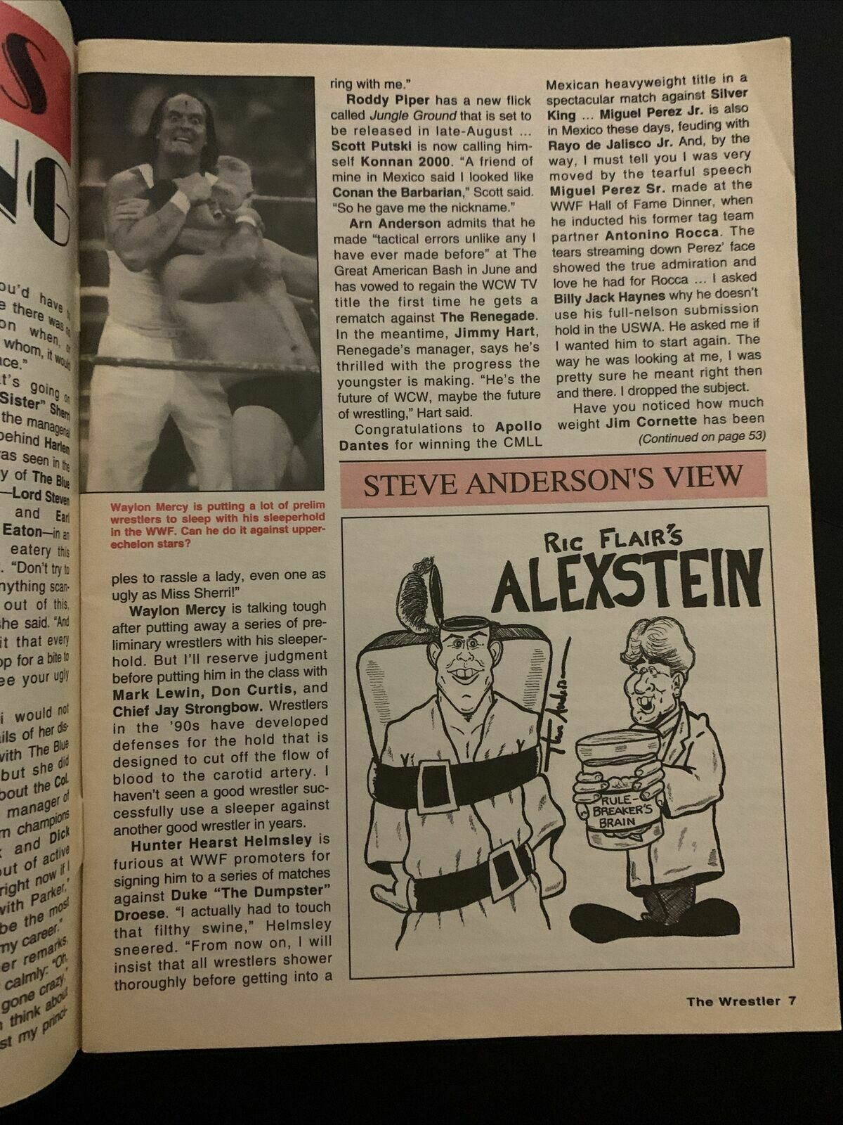 The Wrestler Magazine November 1995 - Mabel Monarchy, Savage, Jarrett, Ramon