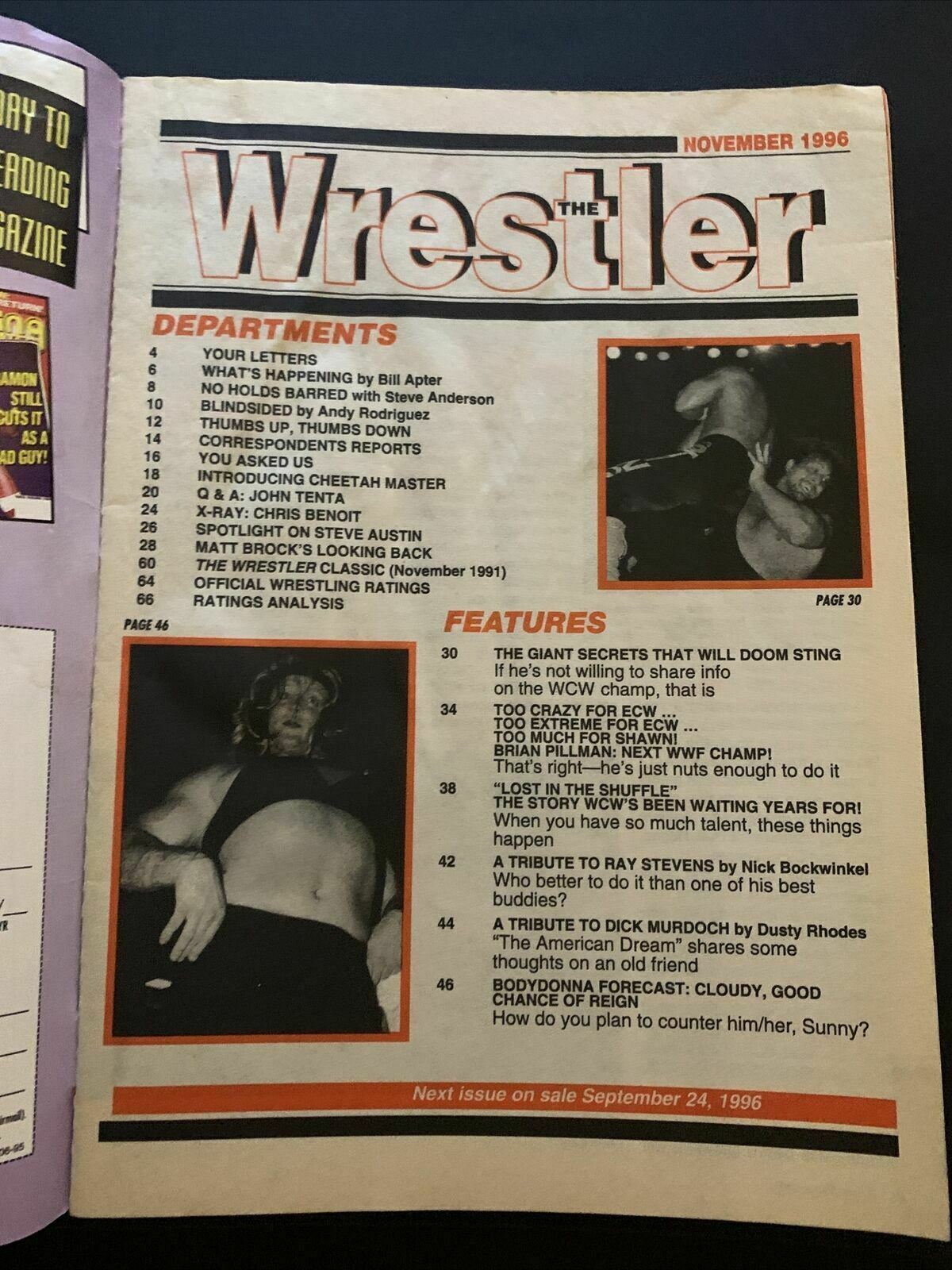The Wrestler Magazine November 1996 - Shawn Michael, Brian Pillman
