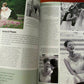 Contemporary Wedding Photography - Advice, Preparation & Planning Photography