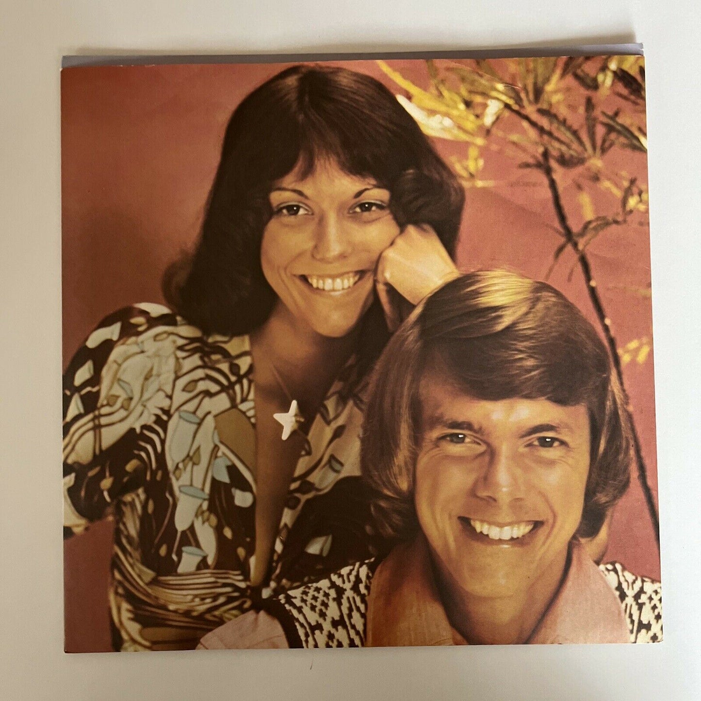 Carpenters – Horizon Vinyl Record 1975