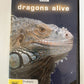 Dragons Alive (DVD, 2004) BBC Documentary Reptiles. Region 4
