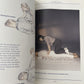 The Book of Shiatsu - by Paul Lundberg PB