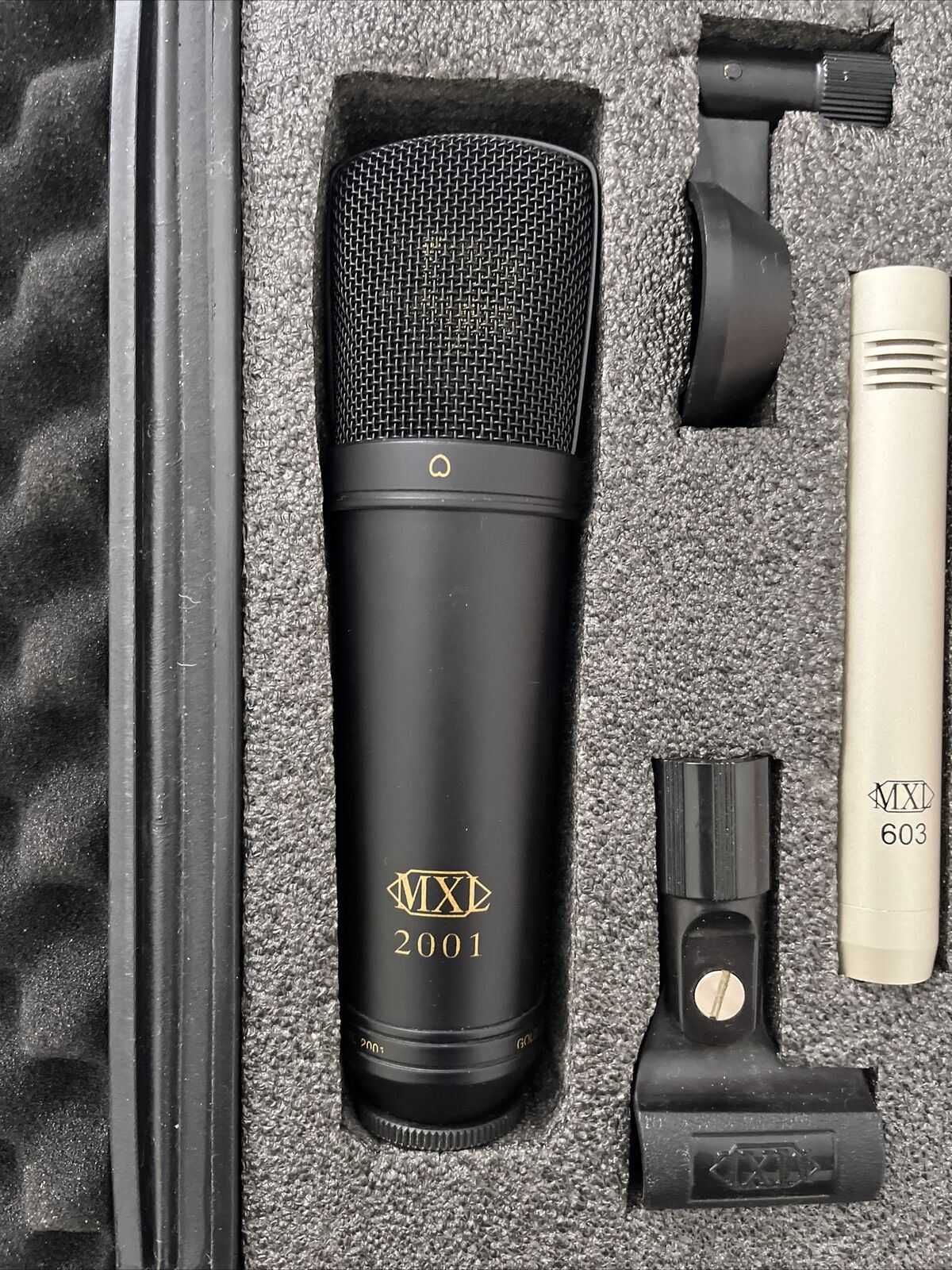 Mxl 2001 And Mxl 603 Condenser Microphone Package  And Carry Case