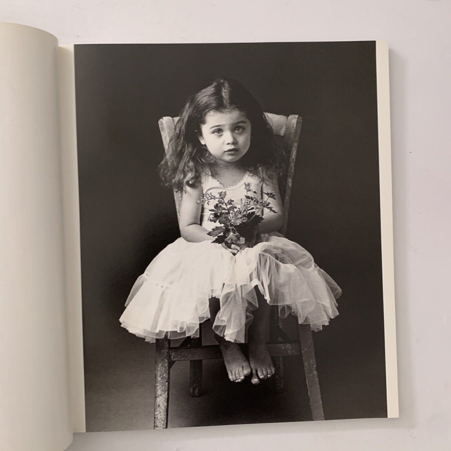 Family Portraits - Professional Photography Series by David Daye Hardcover