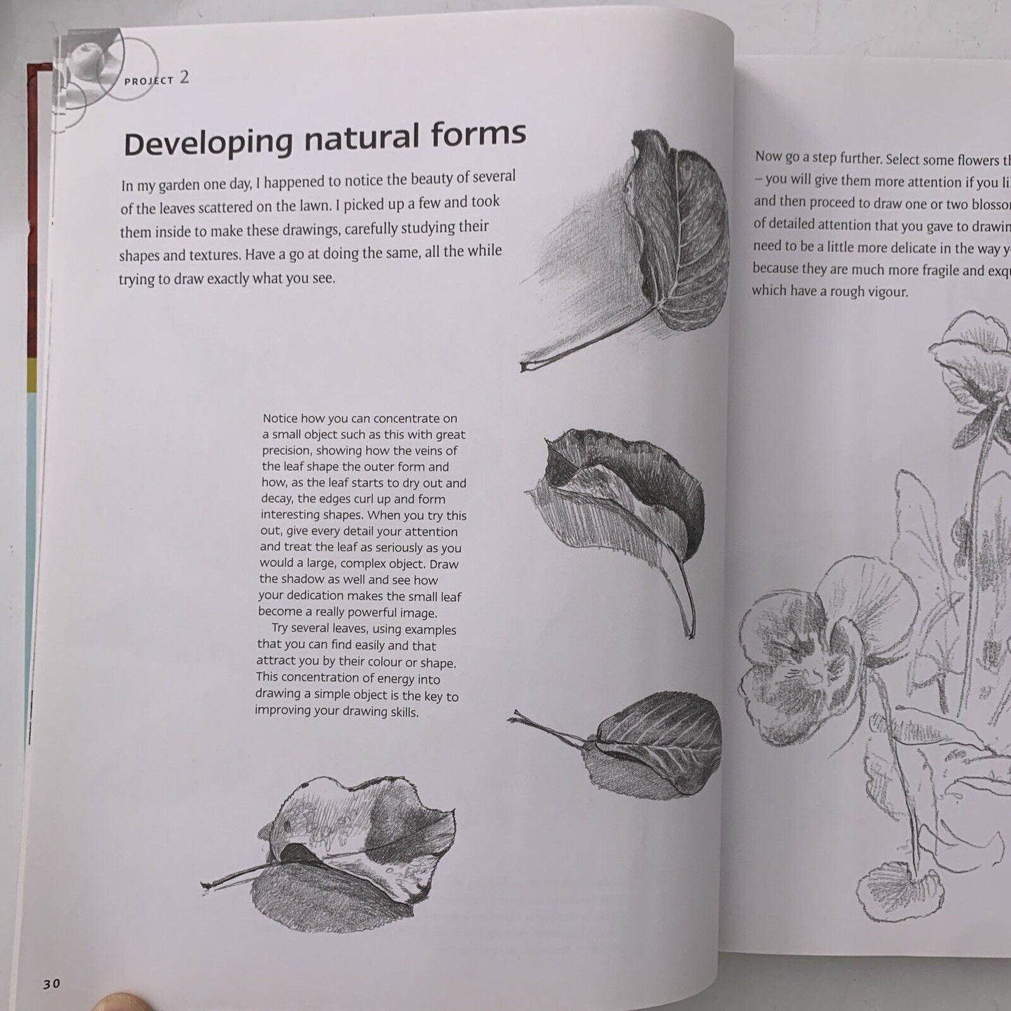Drawing Masterclass Fundamentals Book & Instructional DVD by Barrington Barber