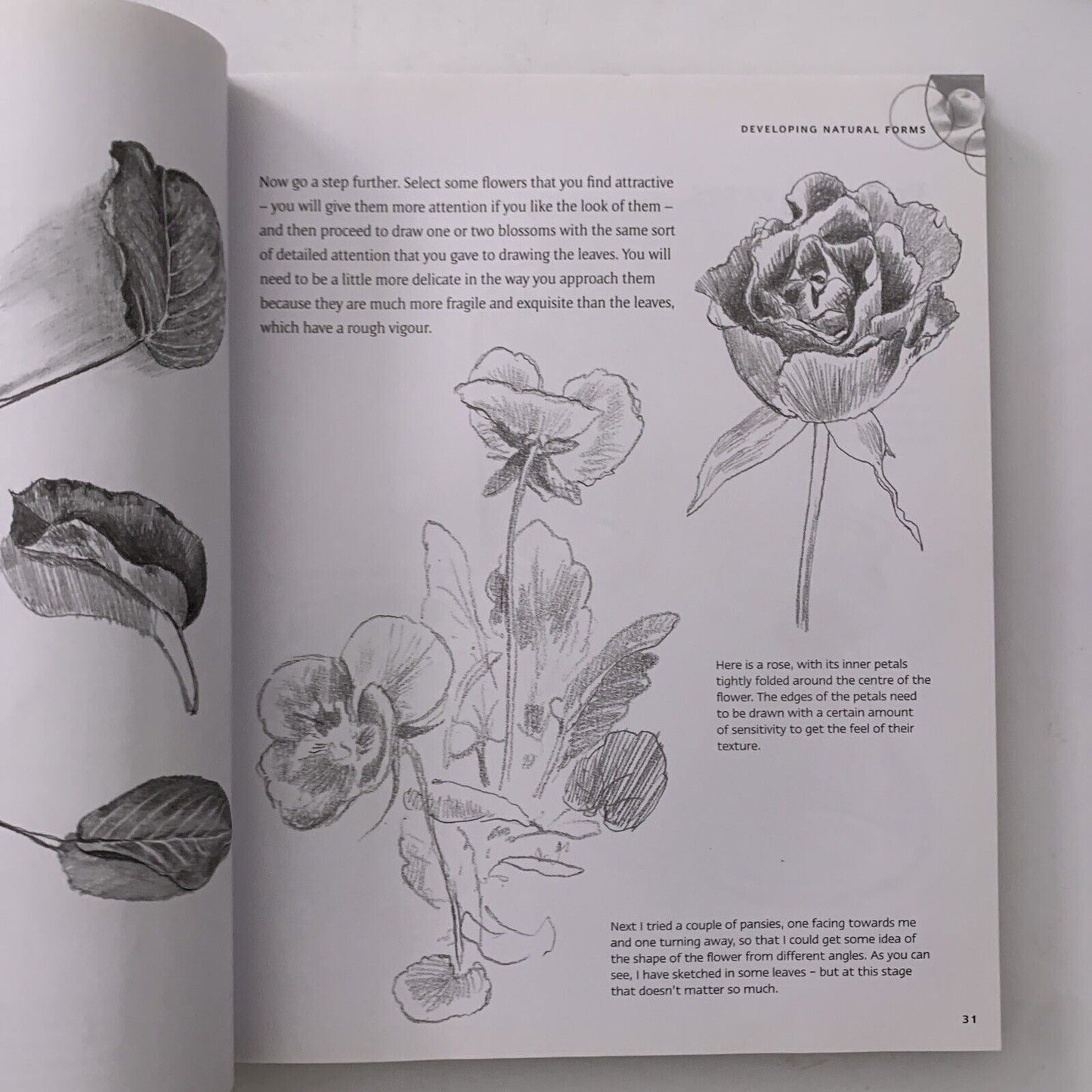 Drawing Masterclass Fundamentals Book & Instructional DVD by Barrington Barber