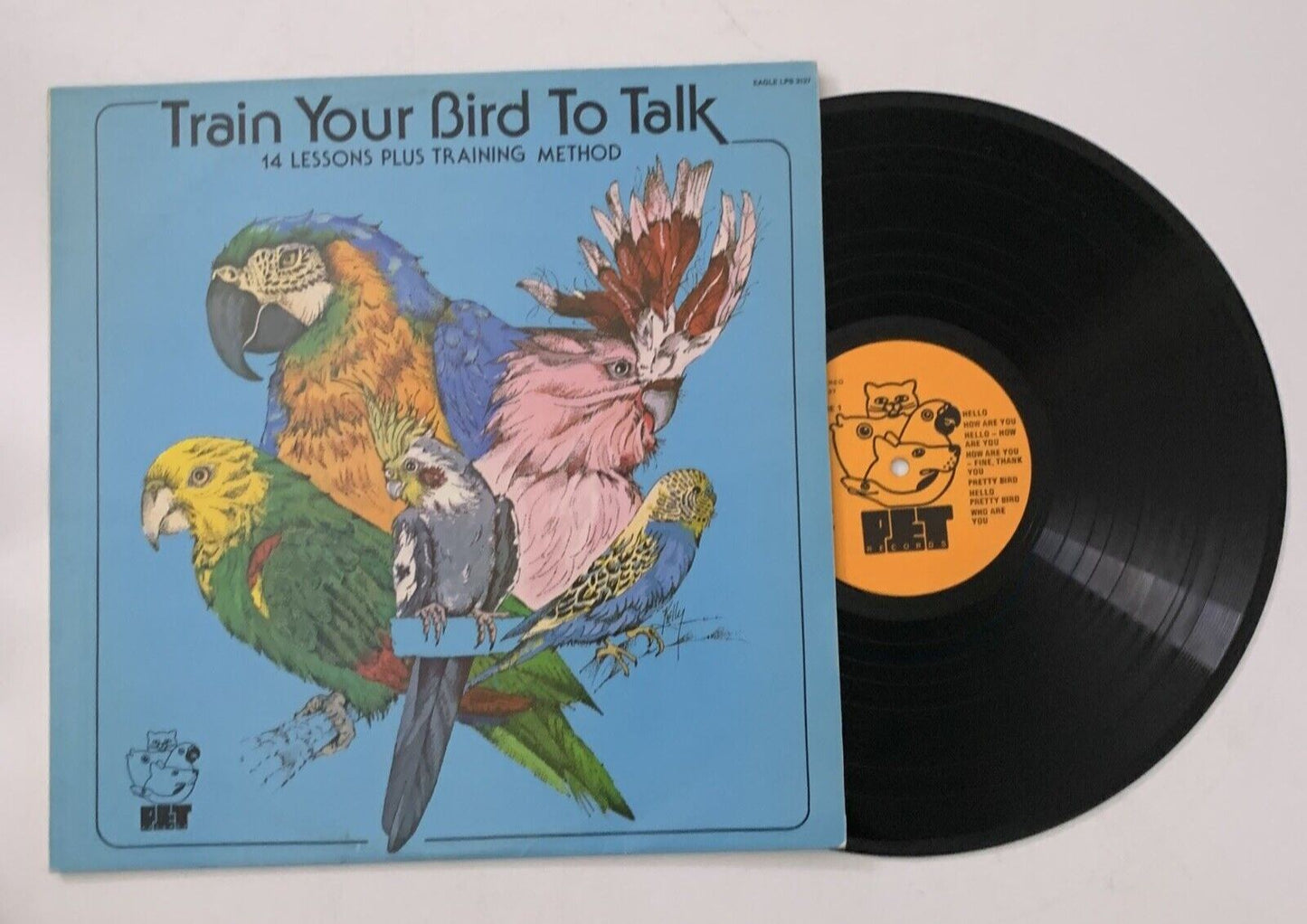 Train Your Bird to Talk Vinyl Record 1977