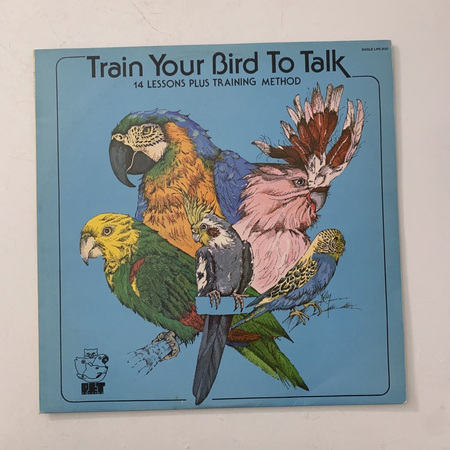 Train Your Bird to Talk Vinyl Record 1977