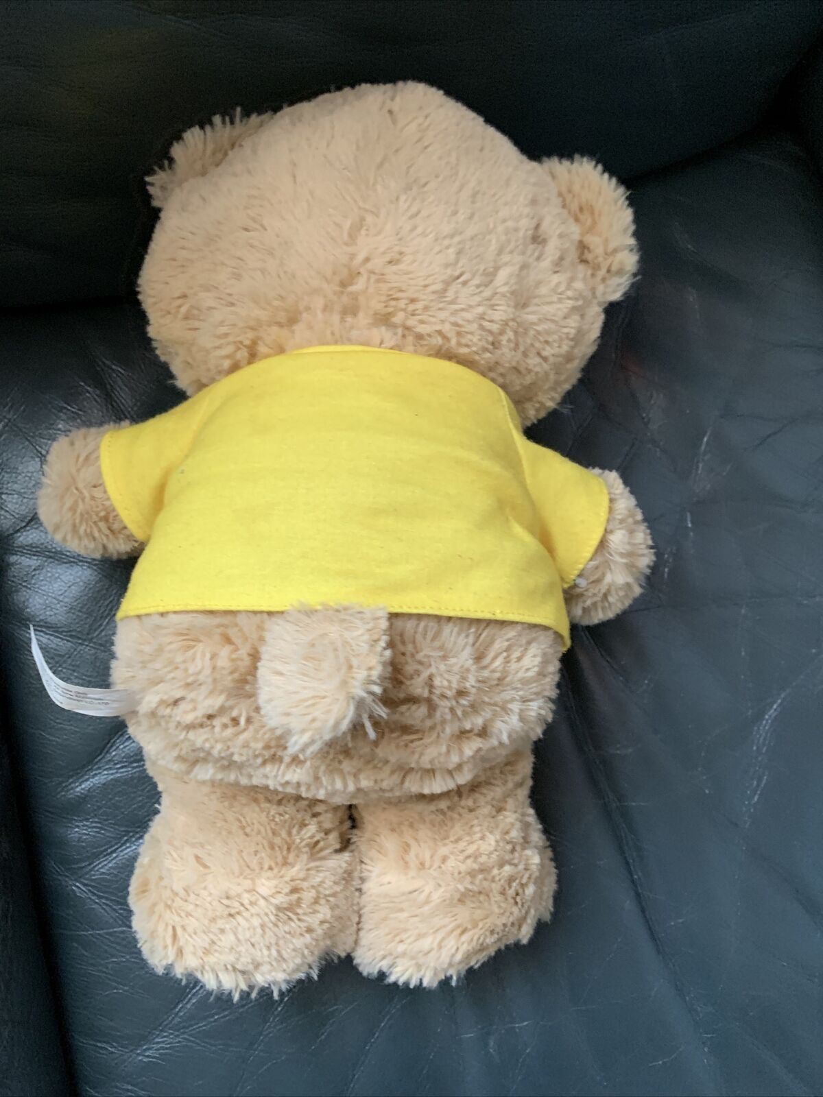 The Wiggles Emma & Rock-A-Bye Your Bear Plush Toy 48cm