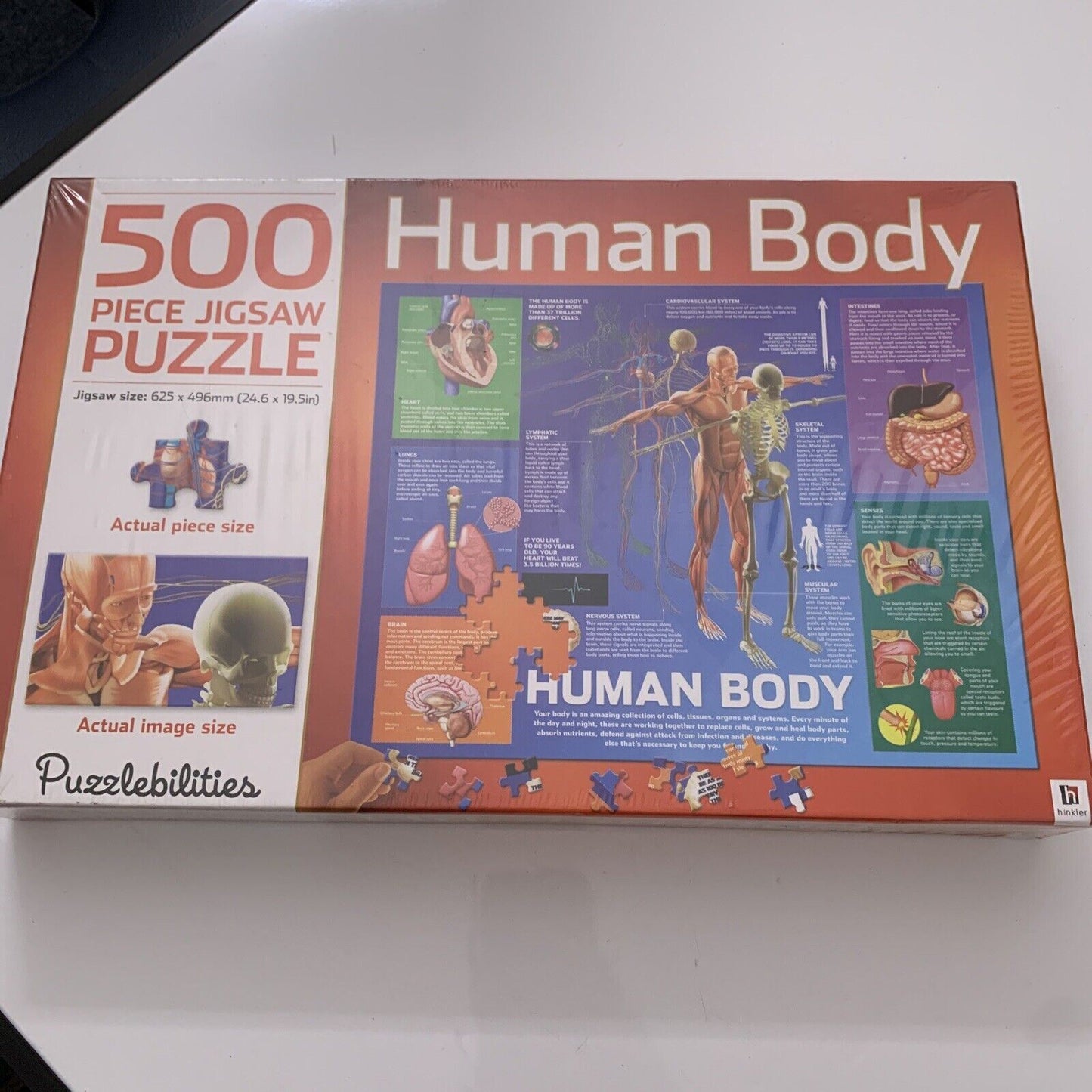 *New Sealed* Human Body 500 Piece Jigsaw Puzzle