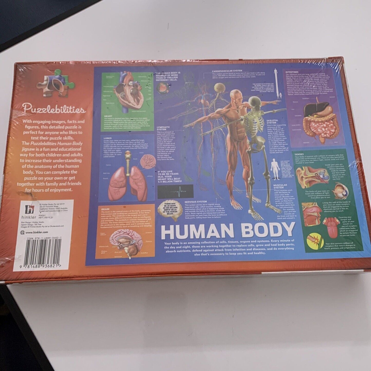 *New Sealed* Human Body 500 Piece Jigsaw Puzzle