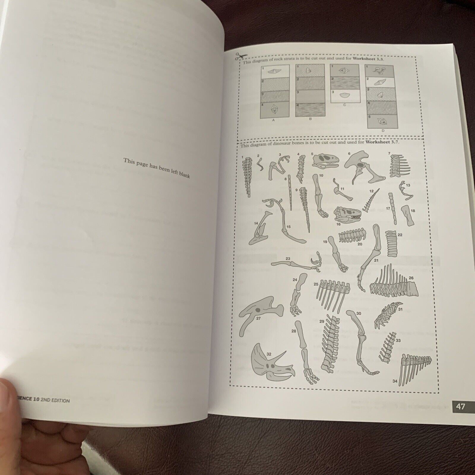 Science 10 Activity Pearson Science 10 Activity Book by Greg Rickard – Retro Unit