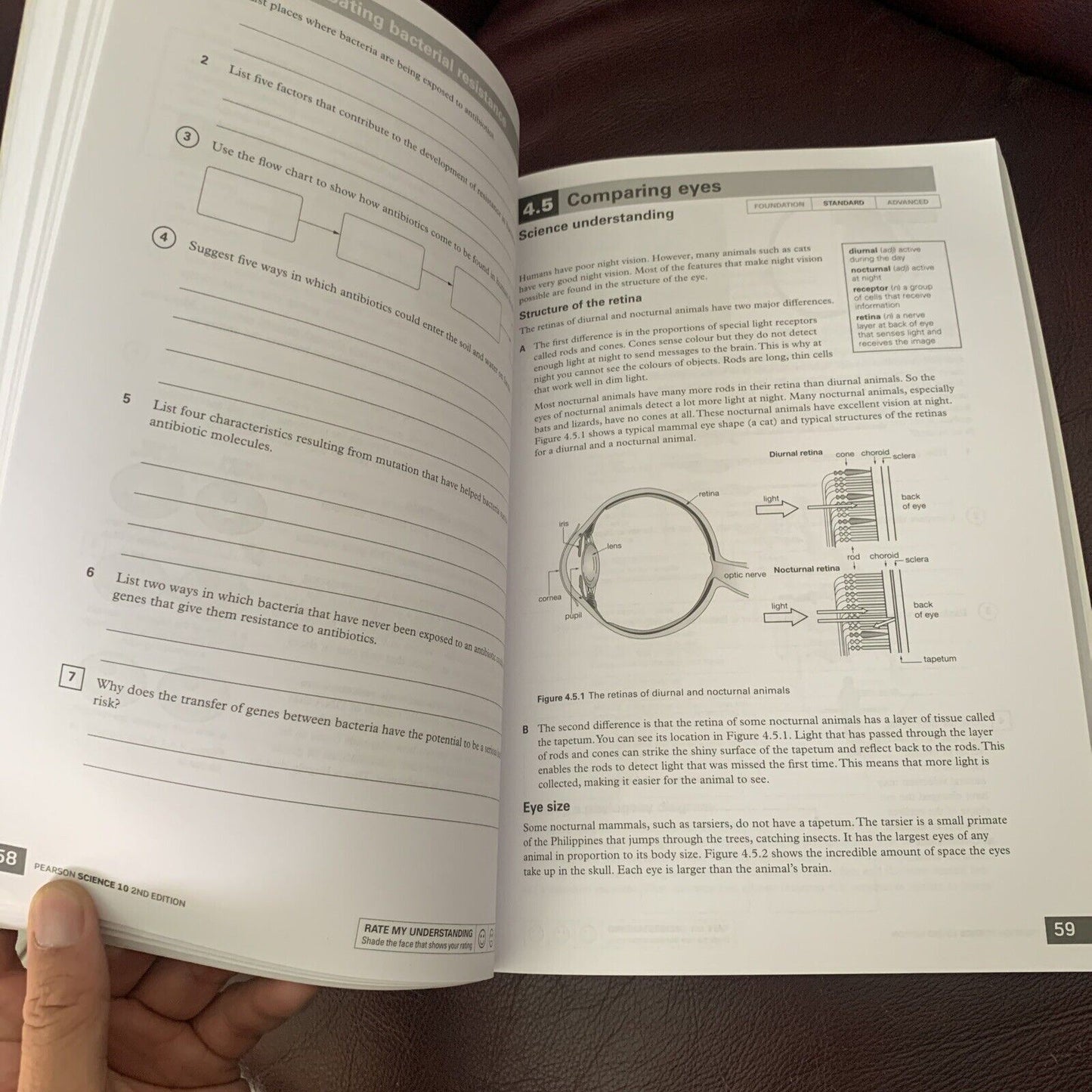 Pearson Science 10 Activity Book by Greg Rickard