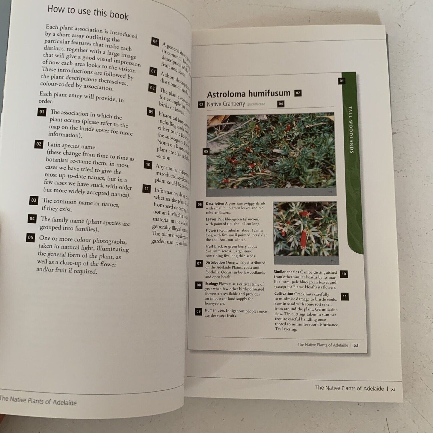 The Native Plants of Adelaide 2010 Paperback