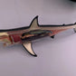Great White Shark Anatomy Model 33cm