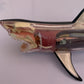 Great White Shark Anatomy Model 33cm