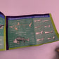 Great White Shark Anatomy Model 33cm
